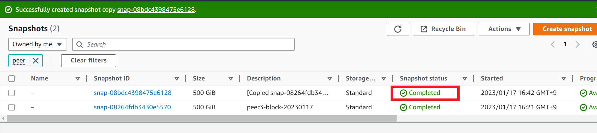 ../../_images/aws_ebs14.en.png