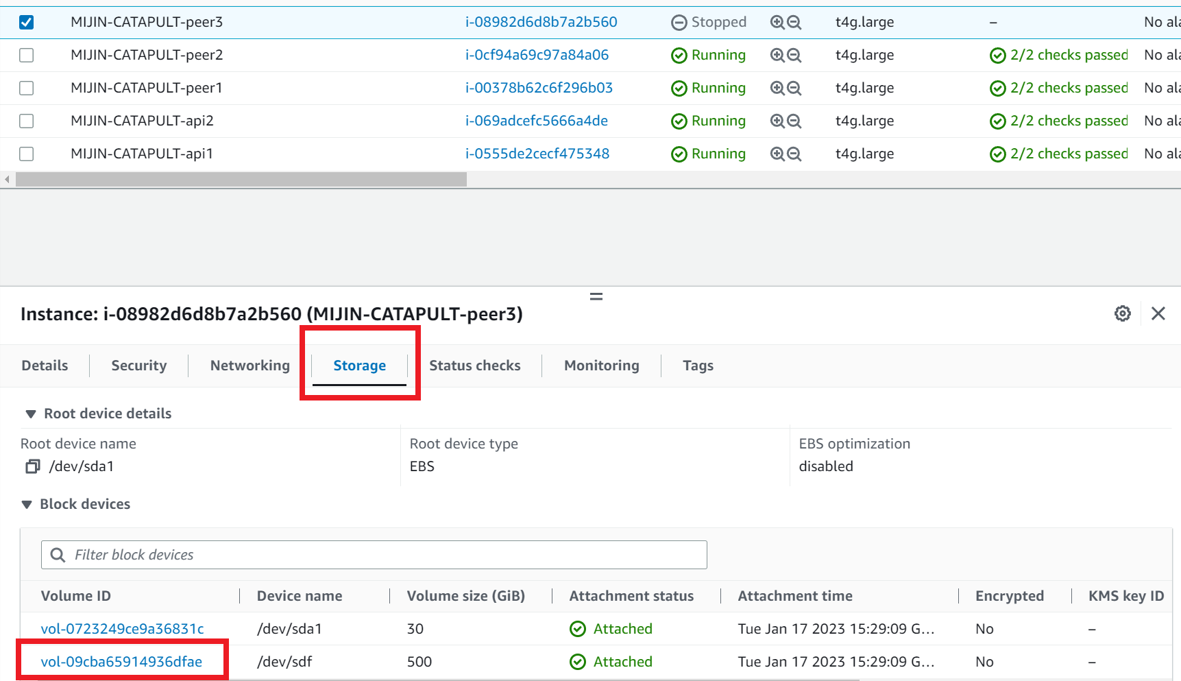 ../../_images/aws_ebs9.en.png