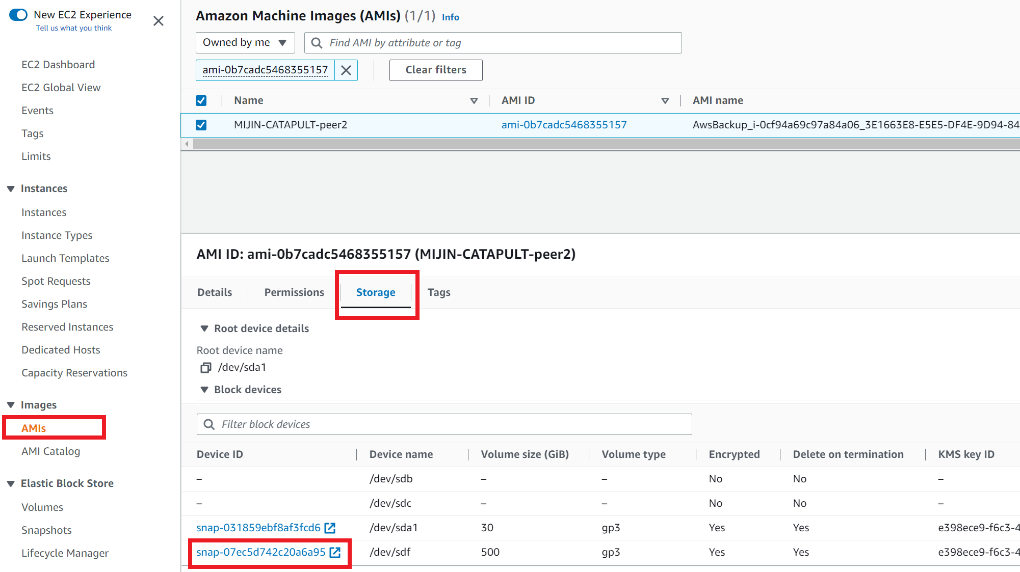 ../../../_images/aws_restore2.en.png