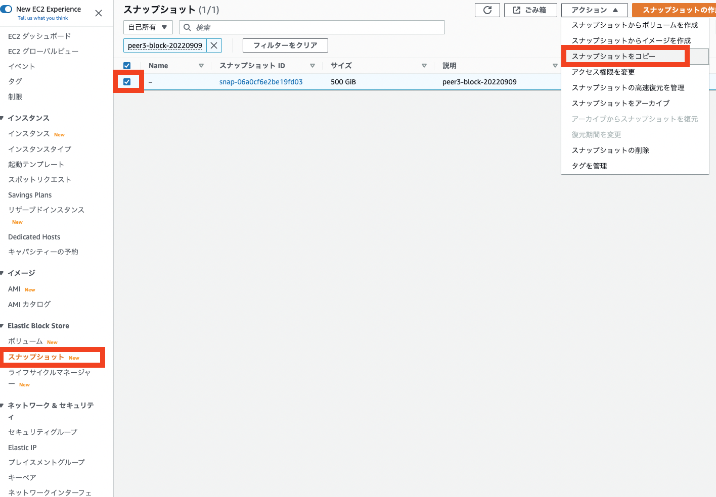../../_images/aws_ebs12.ja.png