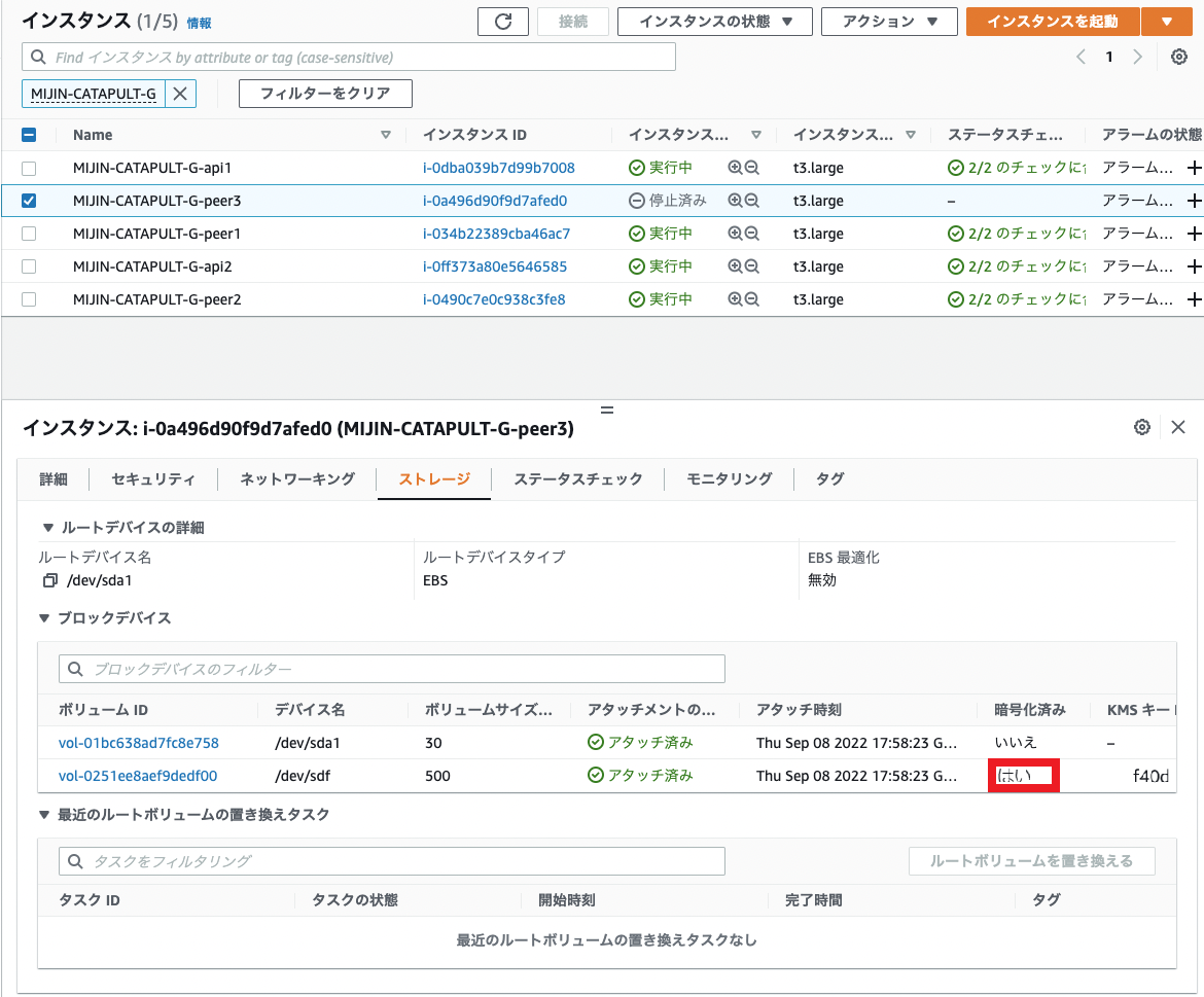 ../../_images/aws_ebs21.ja.png