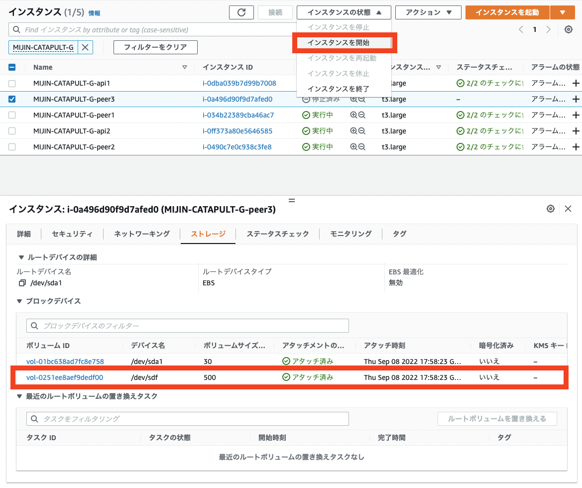 ../../_images/aws_ebs22.ja.png