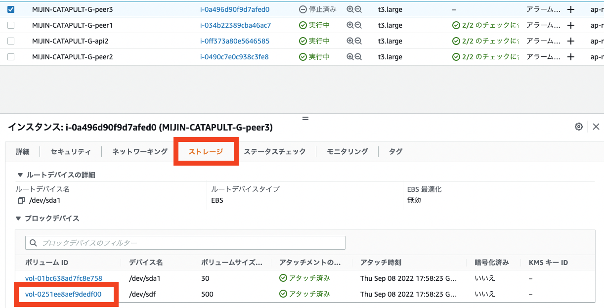 ../../_images/aws_ebs9.ja.png