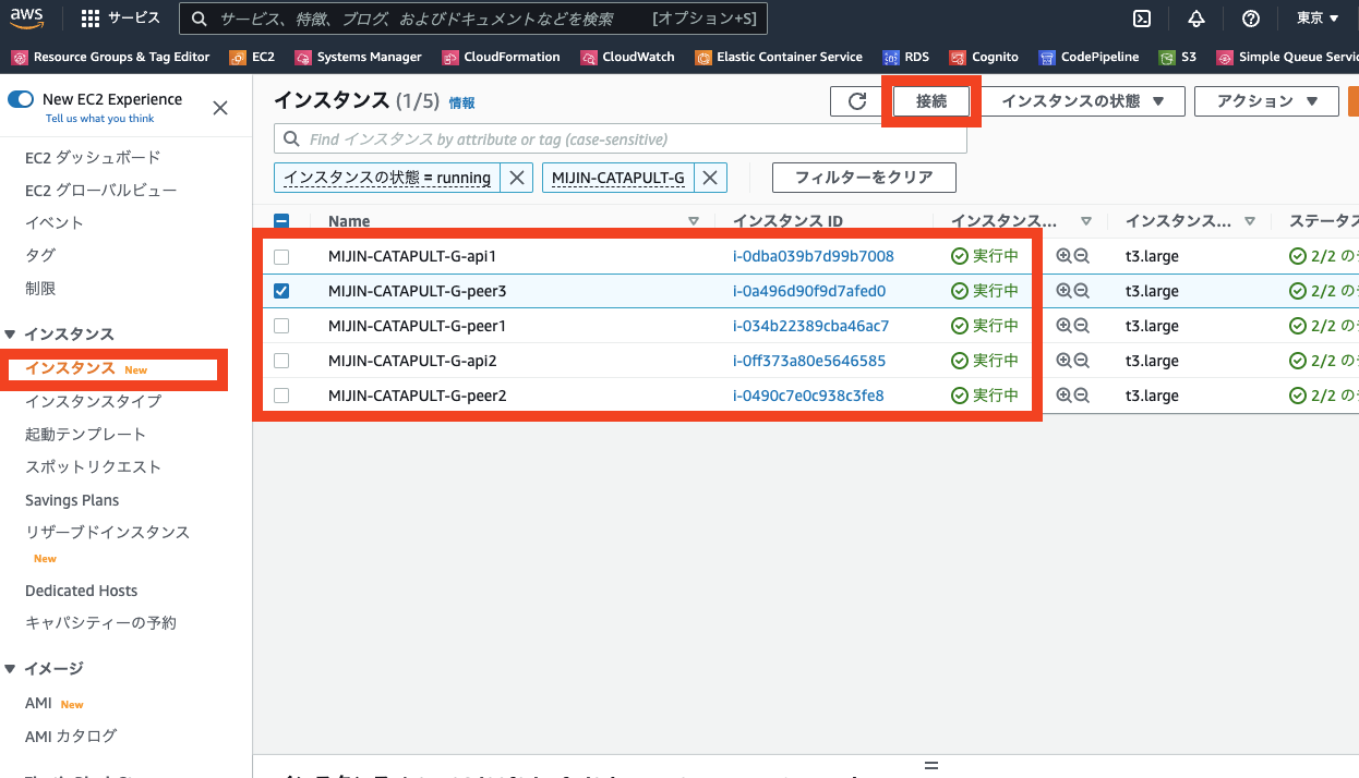 ../../_images/aws_ssm_login2.ja.png